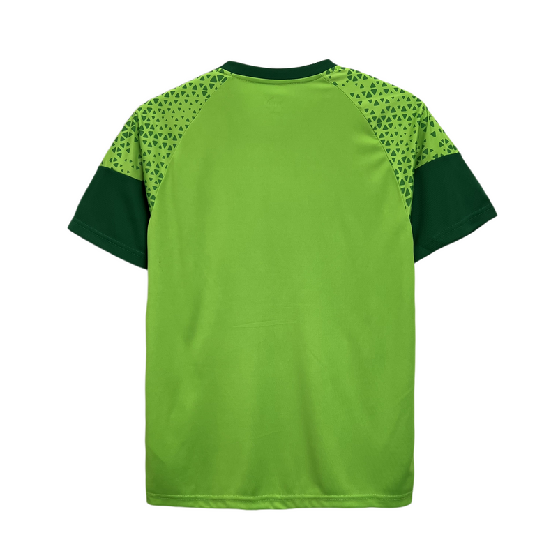 PALMEIRAS TRAINING I 24/25 MAN (Standard)
